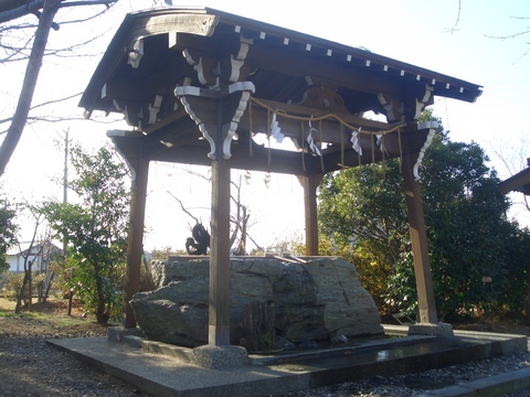 CIMG6304.JPG