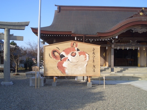 CIMG6311.JPG